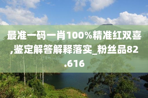 最准一码一肖100%精准红双喜,鉴定解答解释落实_粉丝品82.616