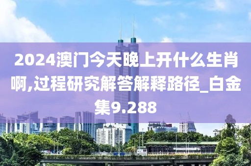 2024澳门今天晚上开什么生肖啊,过程研究解答解释路径_白金集9.288