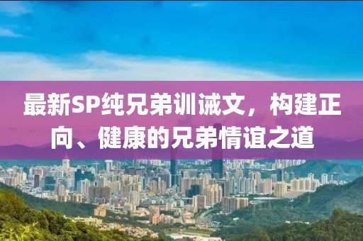 最新SP纯兄弟训诫文，构建正向、健康的兄弟情谊之道
