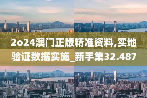 2o24澳门正版精准资料,实地验证数据实施_新手集32.487