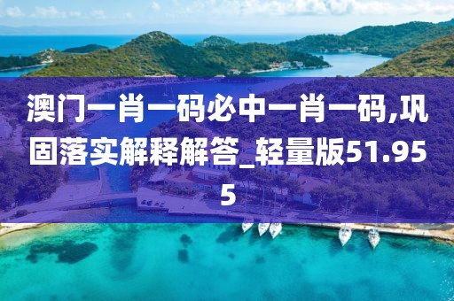 澳门一肖一码必中一肖一码,巩固落实解释解答_轻量版51.955