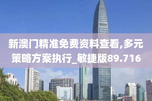 新澳门精准免费资料查看,多元策略方案执行_敏捷版89.716