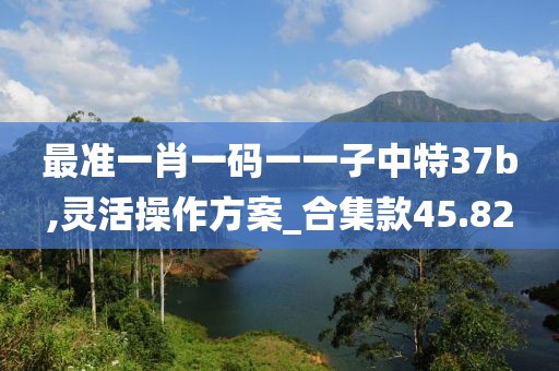 最准一肖一码一一子中特37b,灵活操作方案_合集款45.82