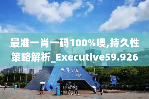 最准一肖一码100%噢,持久性策略解析_Executive59.926