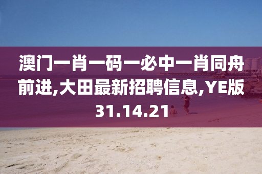 澳门一肖一码一必中一肖同舟前进,大田最新招聘信息,YE版31.14.21