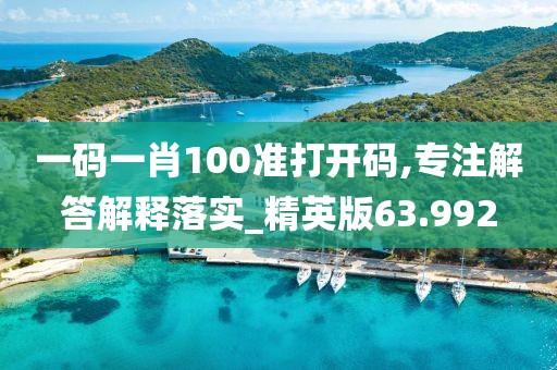 一码一肖100准打开码,专注解答解释落实_精英版63.992