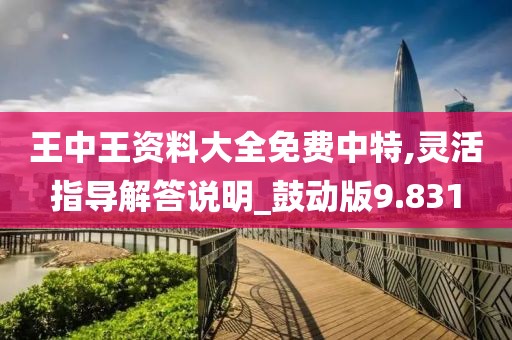 王中王资料大全免费中特,灵活指导解答说明_鼓动版9.831