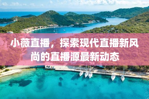 小薇直播，探索现代直播新风尚的直播源最新动态