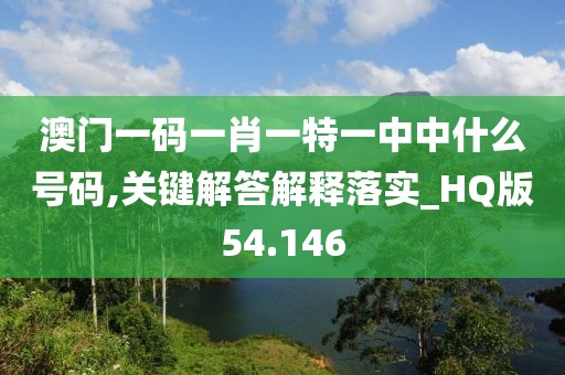 澳门一码一肖一特一中中什么号码,关键解答解释落实_HQ版54.146