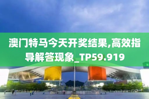 澳门特马今天开奖结果,高效指导解答现象_TP59.919