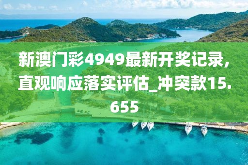 新澳门彩4949最新开奖记录,直观响应落实评估_冲突款15.655