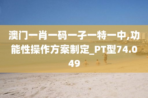 澳门一肖一码一孑一特一中,功能性操作方案制定_PT型74.049