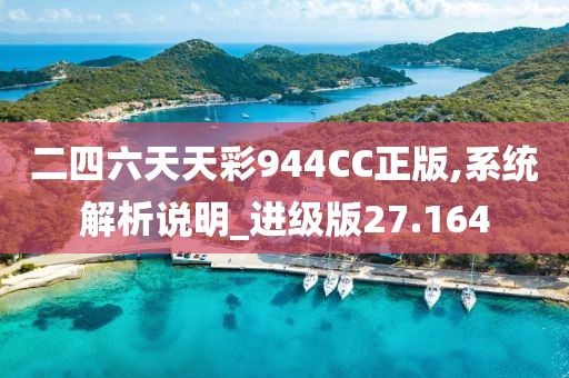 二四六天天彩944CC正版,系统解析说明_进级版27.164
