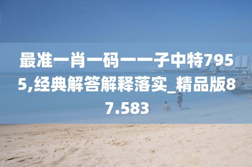最准一肖一码一一子中特7955,经典解答解释落实_精品版87.583