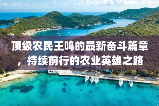 顶级农民王鸣的最新奋斗篇章，持续前行的农业英雄之路