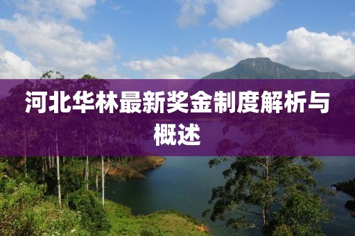 河北华林最新奖金制度解析与概述