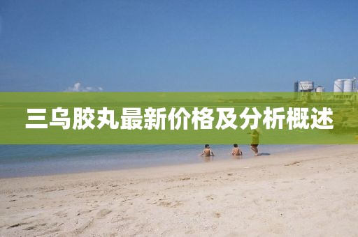 三乌胶丸最新价格及分析概述