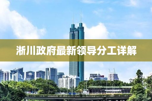 淅川政府最新领导分工详解