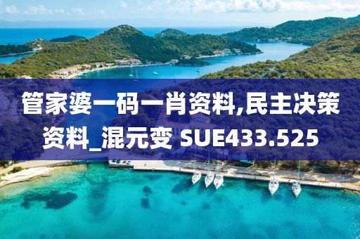 管家婆一码一肖资料,民主决策资料_混元变 SUE433.525