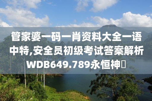 管家婆一码一肖资料大全一语中特,安全员初级考试答案解析WDB649.789永恒神衹