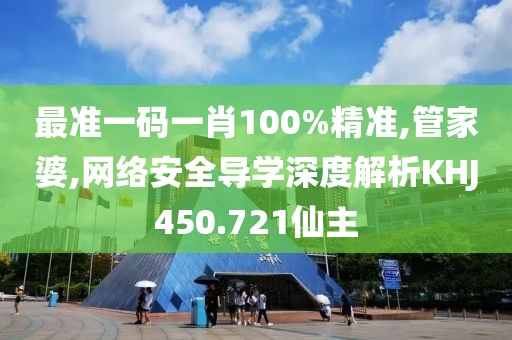 最准一码一肖100%精准,管家婆,网络安全导学深度解析KHJ450.721仙主