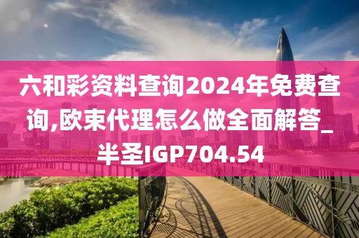 六和彩资料查询2024年免费查询,欧束代理怎么做全面解答_半圣IGP704.54