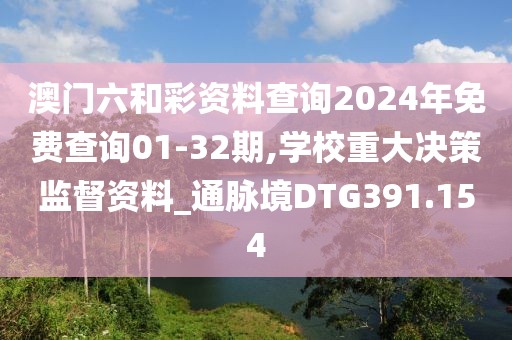 澳门六和彩资料查询2024年免费查询01-32期,学校重大决策监督资料_通脉境DTG391.154