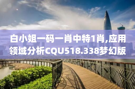 白小姐一码一肖中特1肖,应用领域分析CQU518.338梦幻版