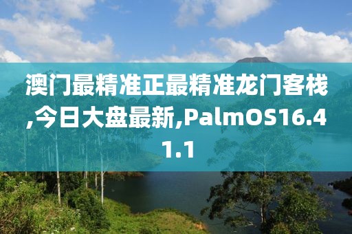 澳门最精准正最精准龙门客栈,今日大盘最新,PalmOS16.41.1