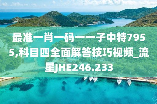 最准一肖一码一一子中特7955,科目四全面解答技巧视频_流星JHE246.233