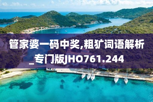 管家婆一码中奖,粗犷词语解析_专门版JHO761.244