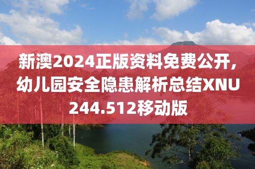 新澳2024正版资料免费公开,幼儿园安全隐患解析总结XNU244.512移动版