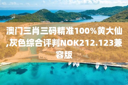 澳门三肖三码精准100%黄大仙,灰色综合评判NOK212.123兼容版