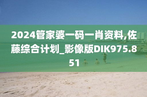 2024管家婆一码一肖资料,佐藤综合计划_影像版DIK975.851