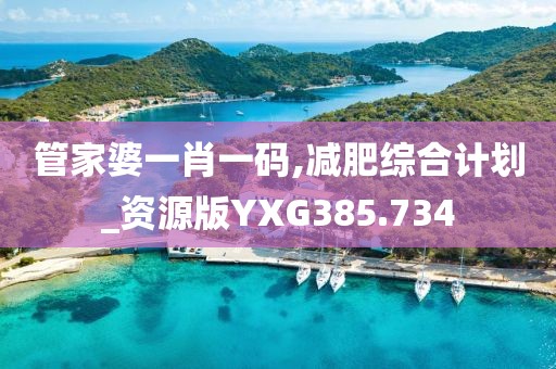 管家婆一肖一码,减肥综合计划_资源版YXG385.734