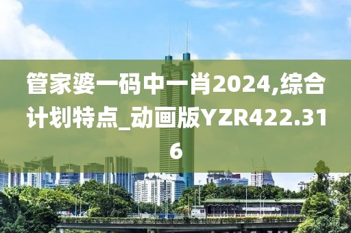 管家婆一码中一肖2024,综合计划特点_动画版YZR422.316