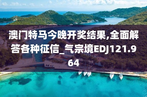 澳门特马今晚开奖结果,全面解答各种征信_气宗境EDJ121.964
