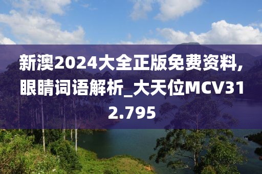 新澳2024大全正版免费资料,眼睛词语解析_大天位MCV312.795