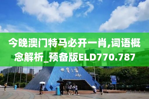今晚澳门特马必开一肖,词语概念解析_预备版ELD770.787