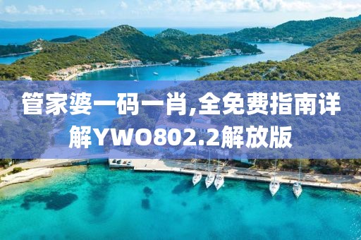 管家婆一码一肖,全免费指南详解YWO802.2解放版