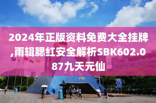 2024年正版资料免费大全挂牌,雨辑腮红安全解析SBK602.087九天元仙
