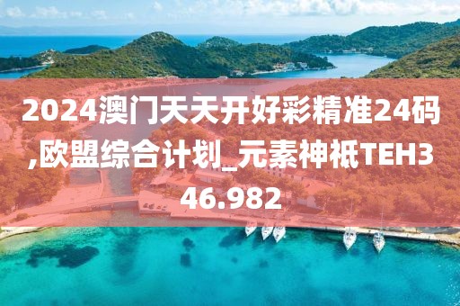2024澳门天天开好彩精准24码,欧盟综合计划_元素神祗TEH346.982