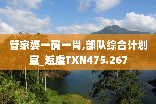 管家婆一码一肖,部队综合计划室_返虚TXN475.267