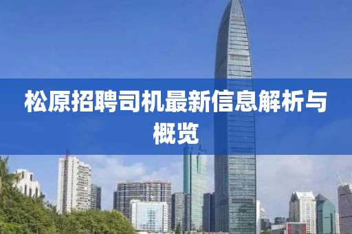 松原招聘司机最新信息解析与概览