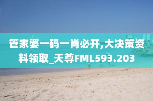 管家婆一码一肖必开,大决策资料领取_天尊FML593.203