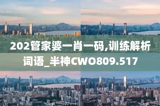 202管家婆一肖一码,训练解析词语_半神CWO809.517