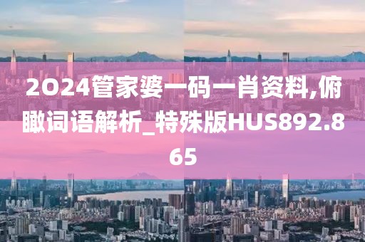 2O24管家婆一码一肖资料,俯瞰词语解析_特殊版HUS892.865