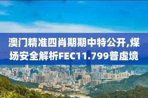 澳门精准四肖期期中特公开,煤场安全解析FEC11.799普虚境