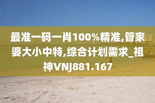 最准一码一肖100%精准,管家婆大小中特,综合计划需求_祖神VNJ881.167