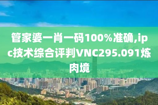 管家婆一肖一码100%准确,ipc技术综合评判VNC295.091炼肉境